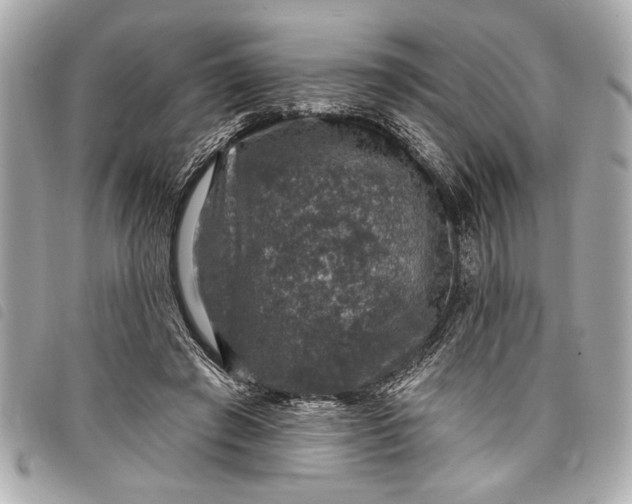 X0000098070401200804181138