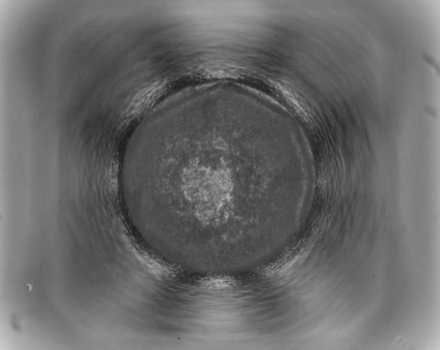 X0000098070402200804181138