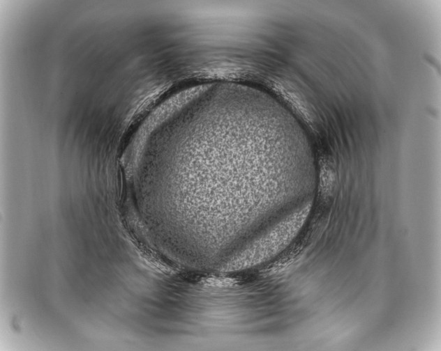 X0000098070403200804181138