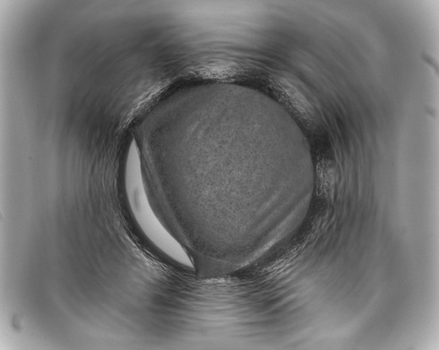 X0000098070404200804181138