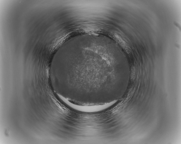 X0000098070405200804181138