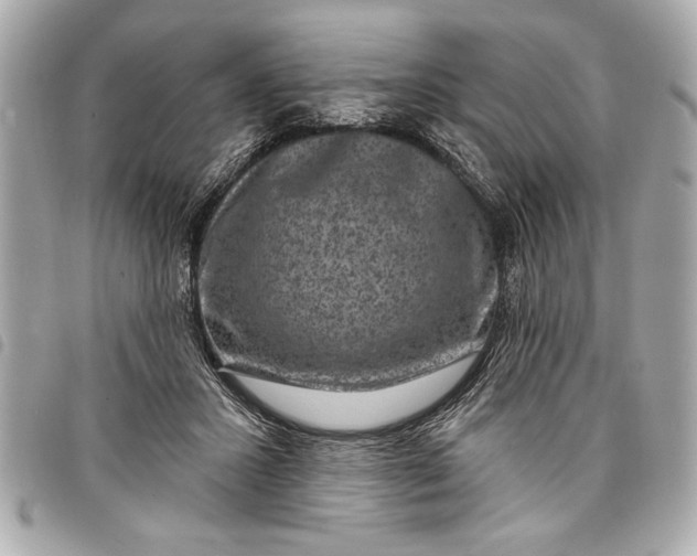 X0000098070407200804181138