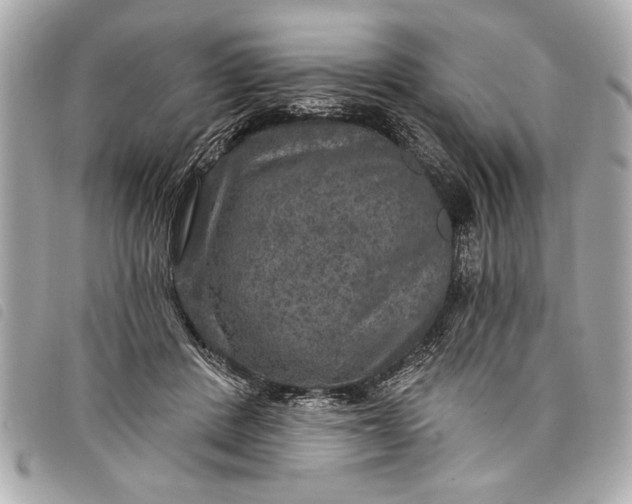 X0000098070408200804181138