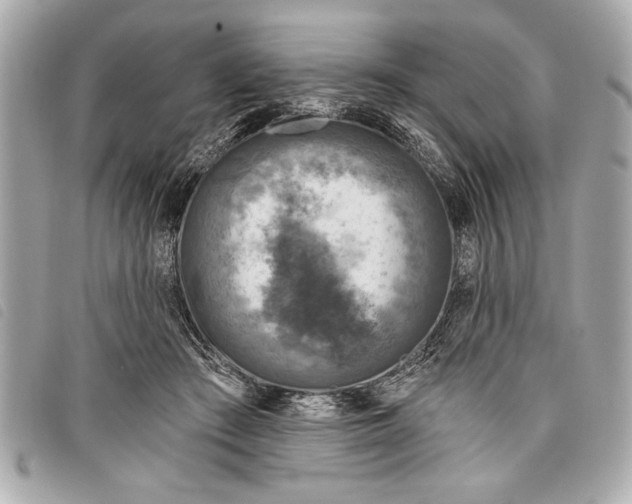 X0000098070409200804181138