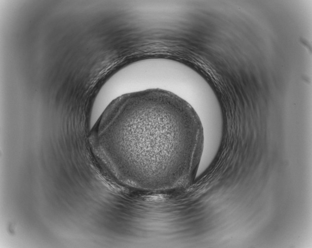 X0000098070411200804181138