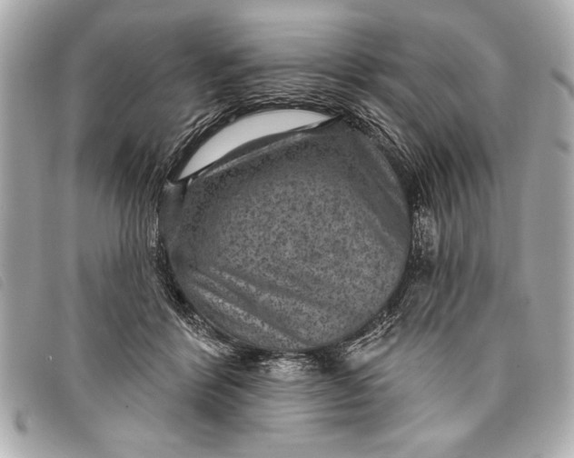 X0000098070412200804181138