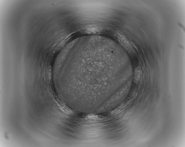 X0000098070413200804181138