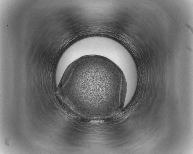 X0000098070415200804181138