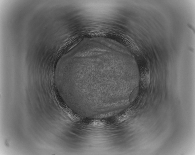 X0000098070416200804181138