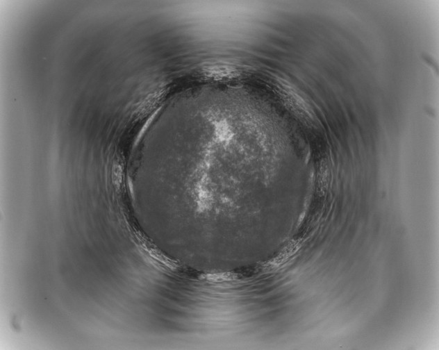 X0000098070417200804181138