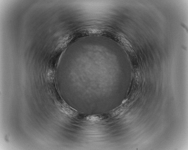 X0000098070419200804181138