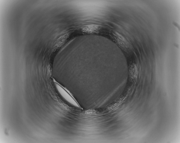 X0000098070420200804181138