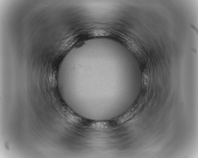 X0000098070422200804181138