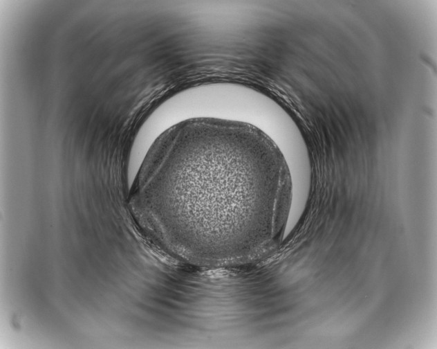 X0000098070423200804181138