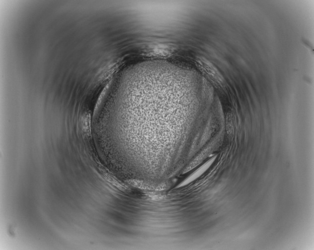 X0000098070425200804181138