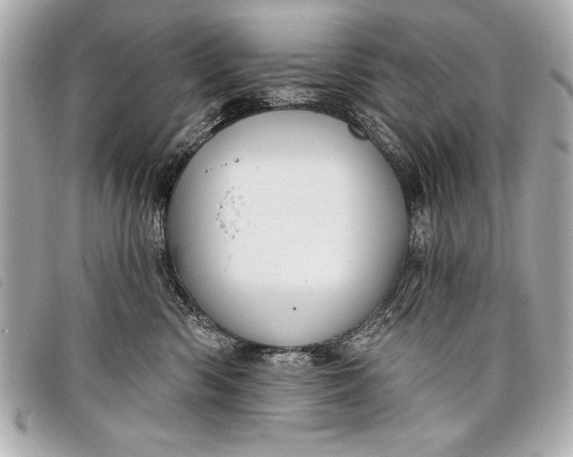 X0000098070426200804181138