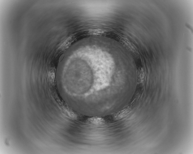 X0000098070427200804181138