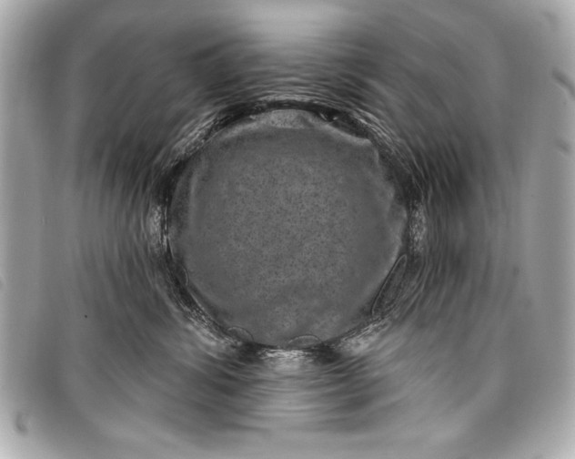 X0000098070428200804181138