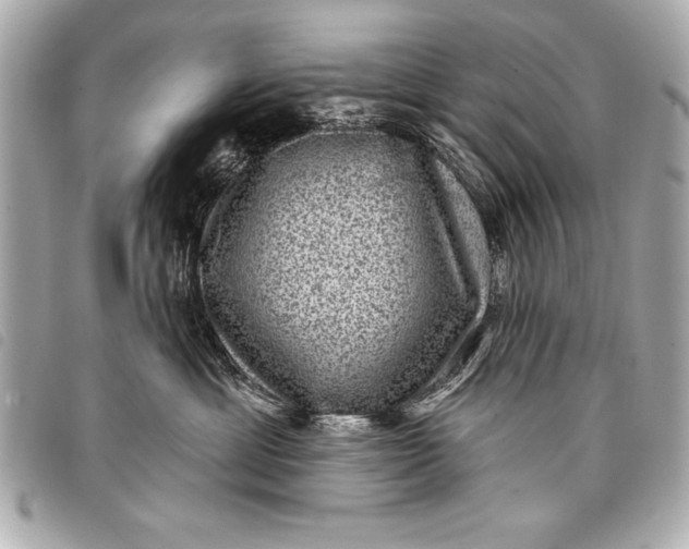 X0000098070429200804181138