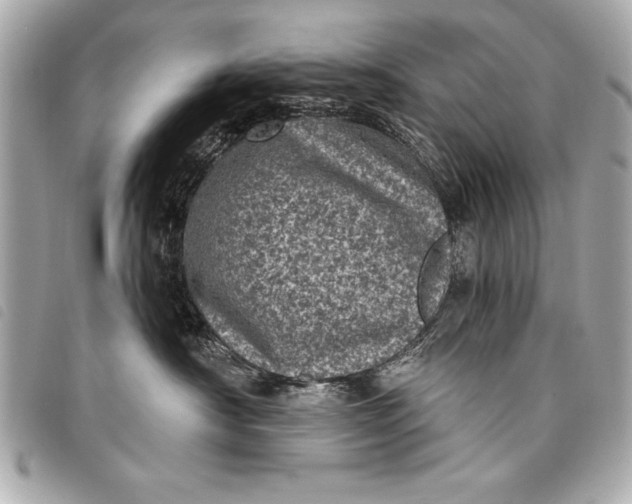 X0000098070430200804181138