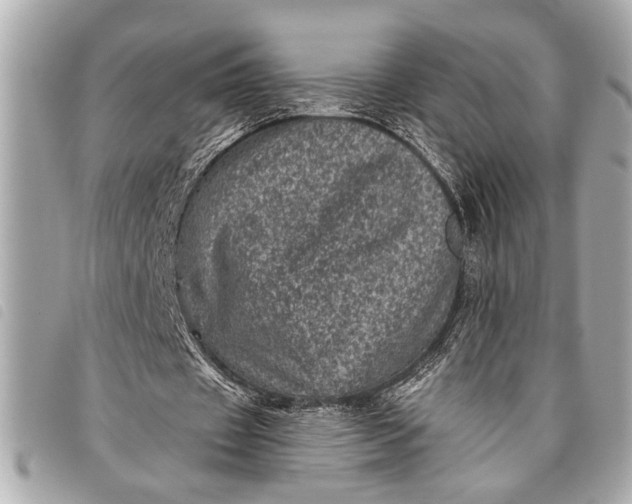 X0000098070433200804181137