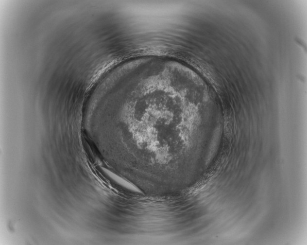 X0000098070434200804181137