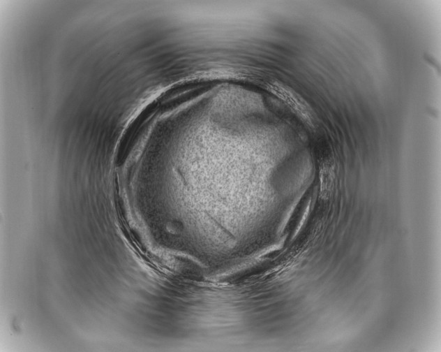 X0000098070436200804181137