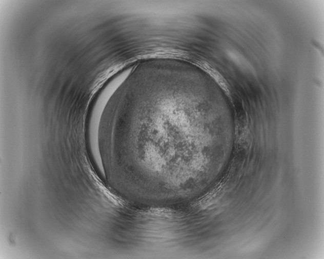 X0000098070437200804181137