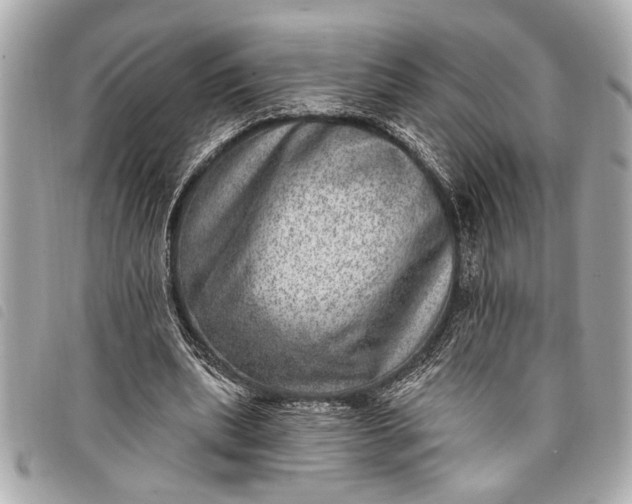 X0000098070439200804181137