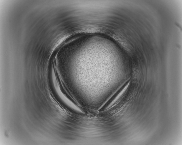 X0000098070440200804181137