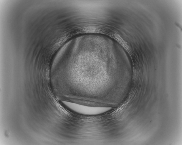 X0000098070441200804181137