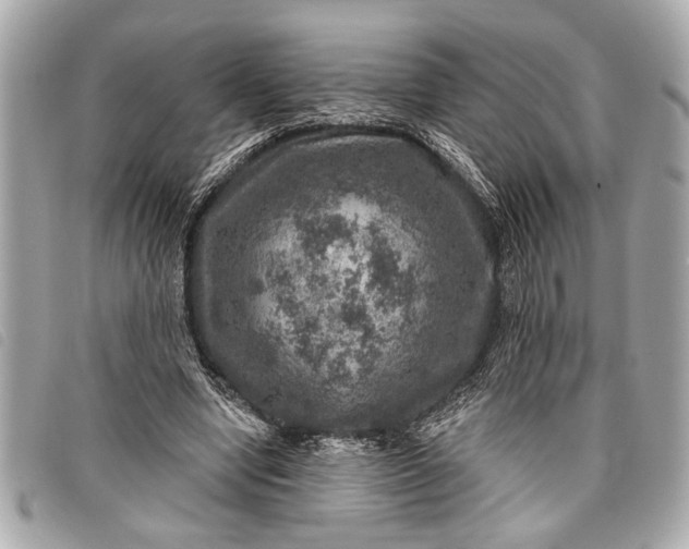 X0000098070442200804181137