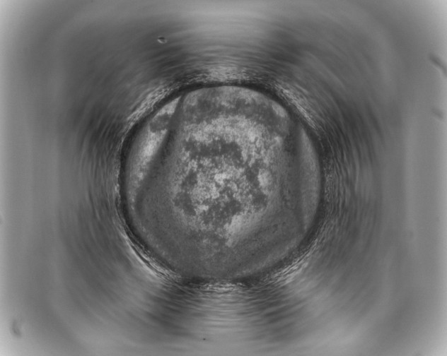 X0000098070443200804181137