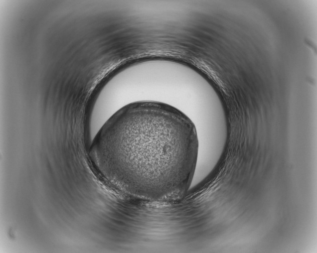 X0000098070444200804181137