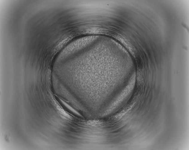 X0000098070445200804181137