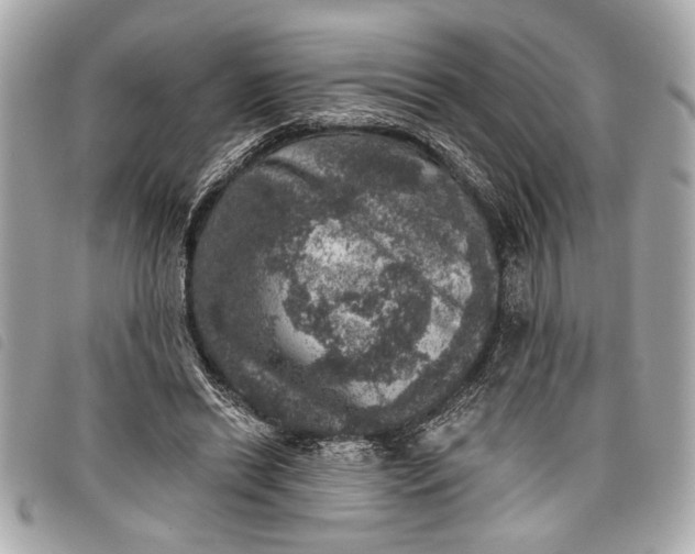 X0000098070446200804181137