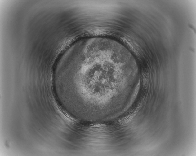 X0000098070447200804181137