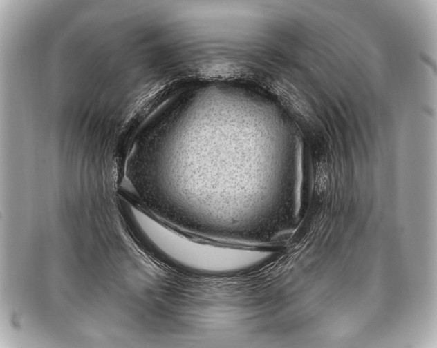 X0000098070448200804181137