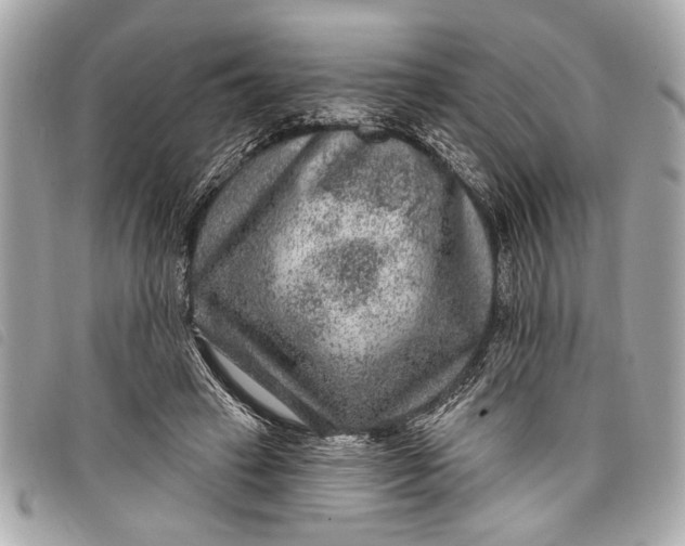 X0000098070449200804181137