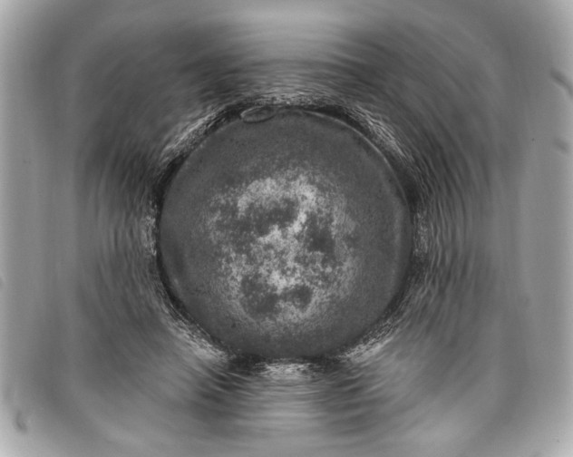 X0000098070450200804181137