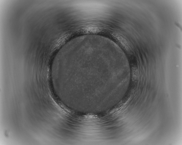 X0000098070451200804181137