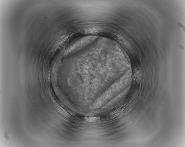 X0000098070452200804181137