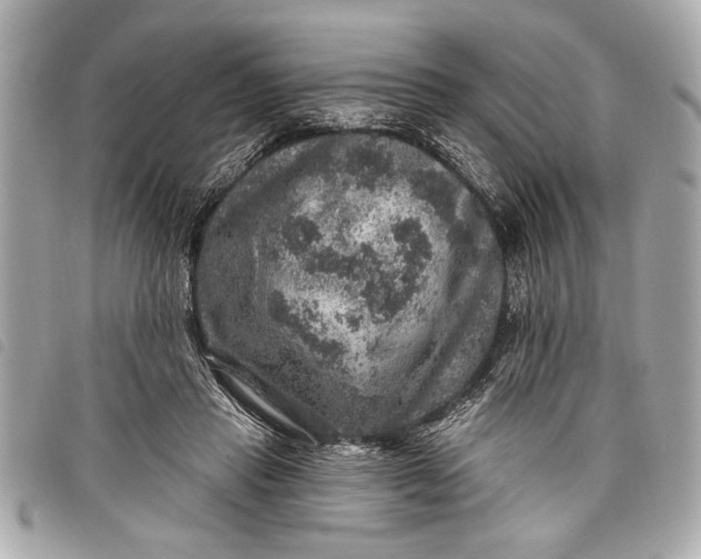 X0000098070453200804181137