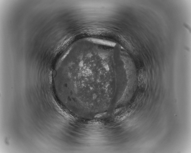 X0000098070454200804181137