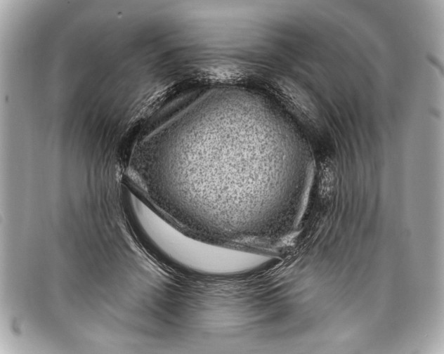 X0000098070456200804181137