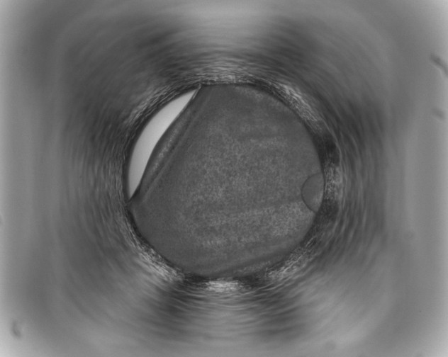 X0000098070457200804181137