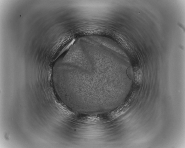 X0000098070458200804181137