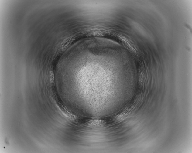 X0000098070459200804181137