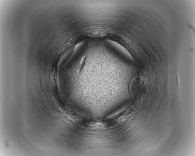 X0000098070460200804181137