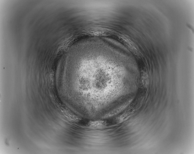 X0000098070461200804181137